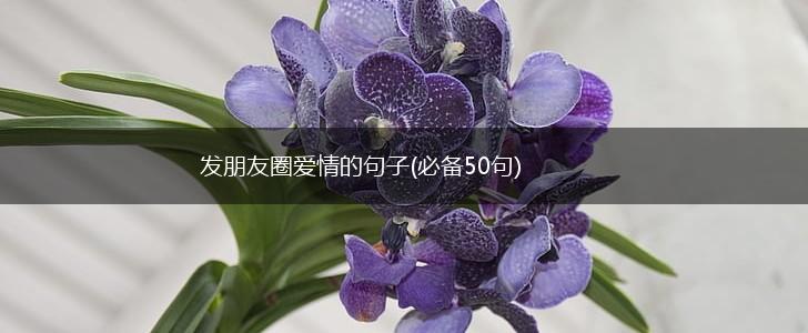 发朋友圈爱情的句子(必备50句),第1张