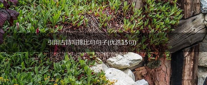 引用古诗写排比句句子(优选15句),第1张