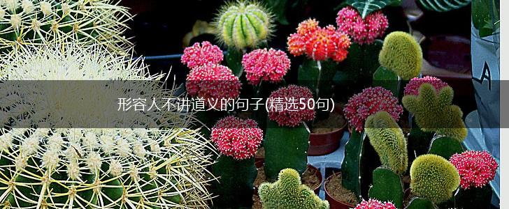 形容人不讲道义的句子(精选50句),第1张