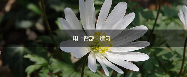 用“背部”造句,第1张