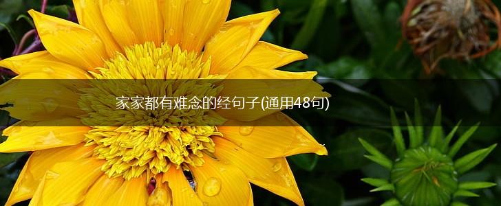 家家都有难念的经句子(通用48句),第1张