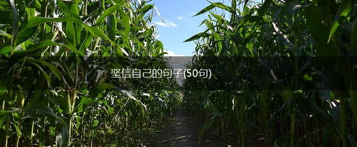 坚信自己的句子(50句),第1张