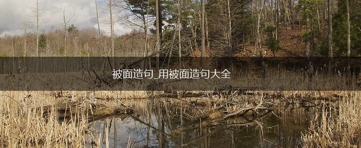 被面造句_用被面造句大全,第1张