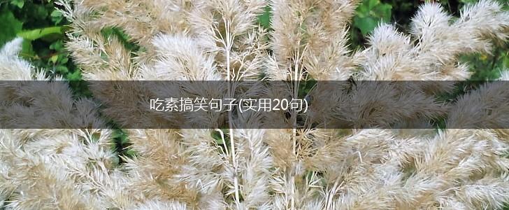 吃素搞笑句子(实用20句),第1张