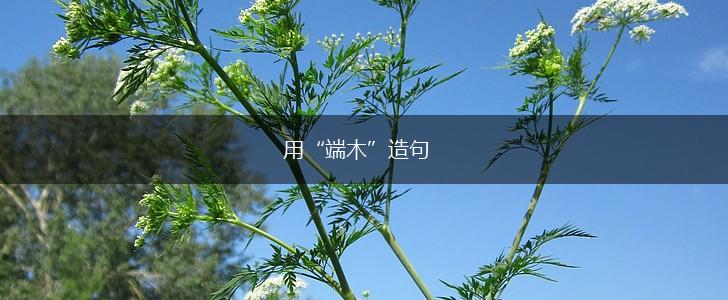 用“端木”造句,第1张