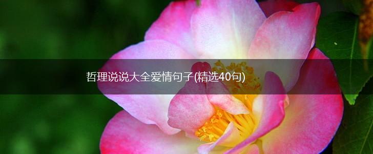哲理说说大全爱情句子(精选40句),第1张