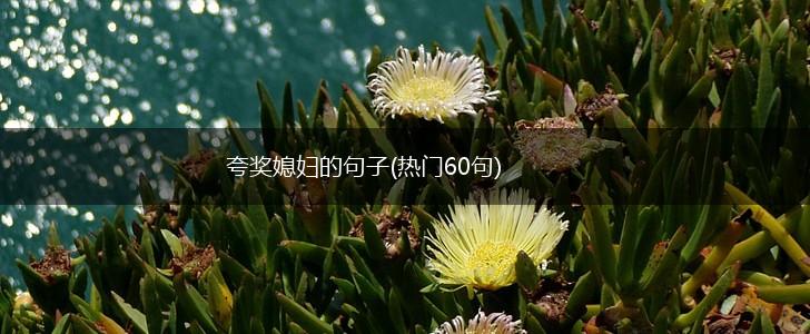 夸奖媳妇的句子(热门60句),第1张