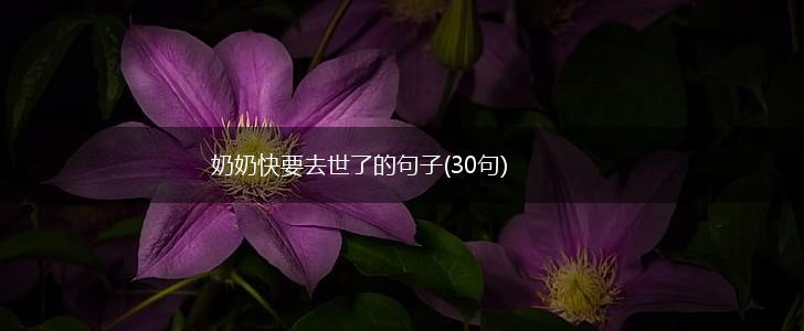 奶奶快要去世了的句子(30句),第1张