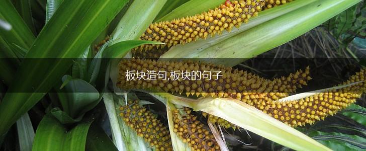 板块造句,板块的句子,第1张