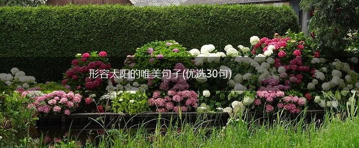 形容太阳的唯美句子(优选30句),第1张