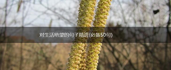 对生活绝望的句子精选(必备50句),第1张