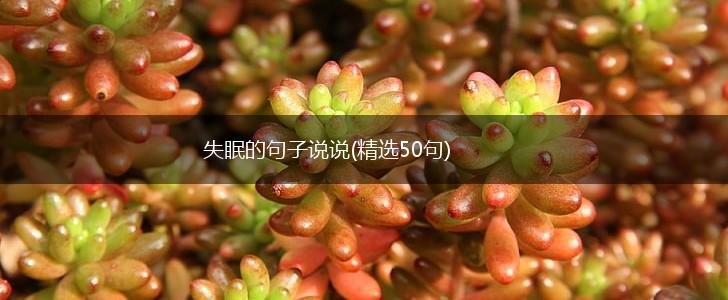 失眠的句子说说(精选50句),第1张