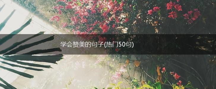 学会赞美的句子(热门50句),第1张