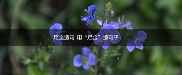 足金造句_用“足金”造句子,第1张