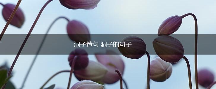 洞子造句 洞子的句子,第1张