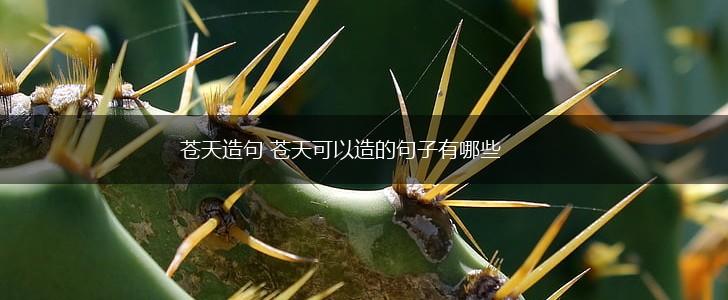 苍天造句 苍天可以造的句子有哪些,第1张
