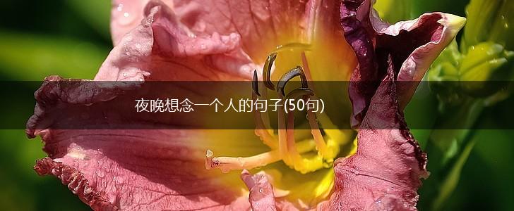 夜晚想念一个人的句子(50句),第1张