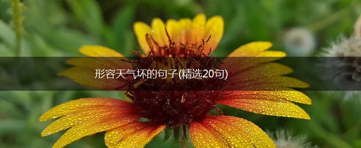 形容天气坏的句子(精选20句),第1张