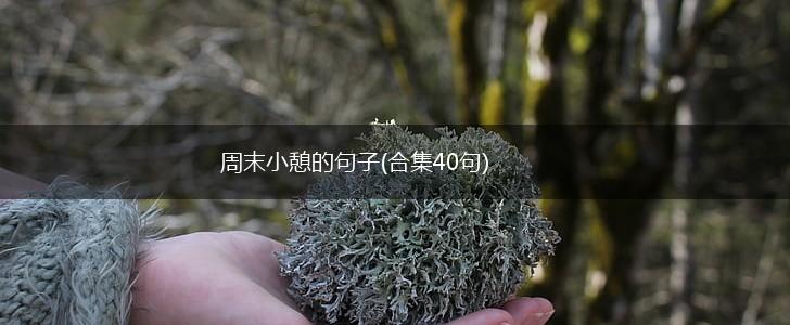 周末小憩的句子(合集40句),第1张