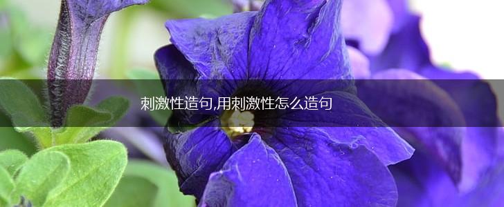 刺激性造句,用刺激性怎么造句,第1张