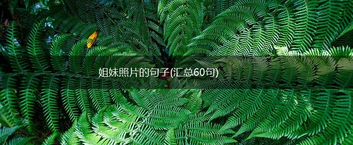 姐妹照片的句子(汇总60句),第1张