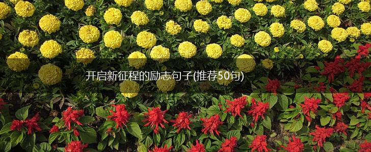 开启新征程的励志句子(推荐50句),第1张