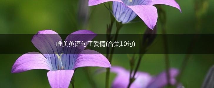 唯美英语句子爱情(合集10句),第1张