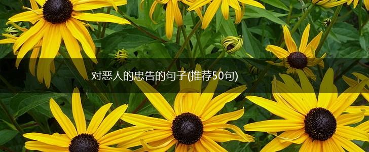 对恶人的忠告的句子(推荐50句),第1张