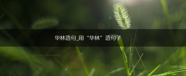 华林造句_用“华林”造句子,第1张