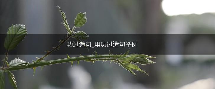 功过造句_用功过造句举例,第1张