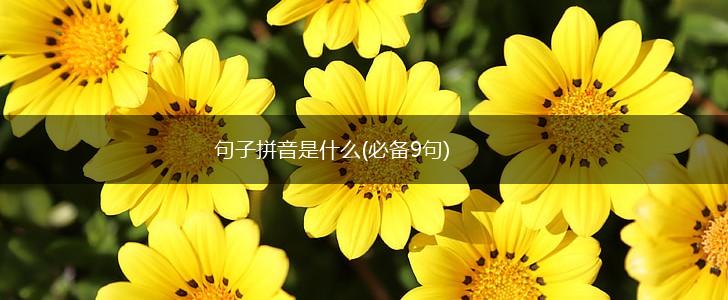 句子拼音是什么(必备9句),第1张