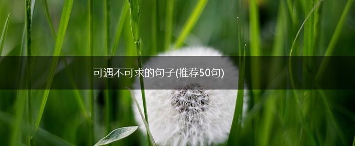 可遇不可求的句子(推荐50句),第1张