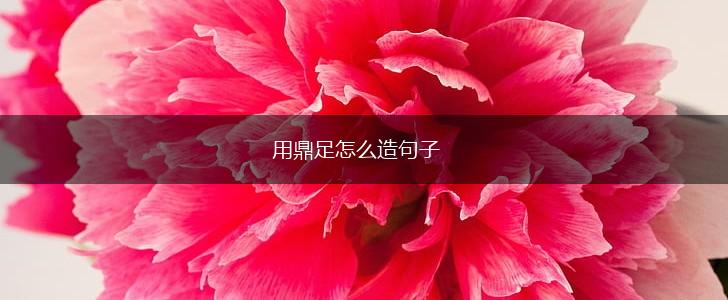 用鼎足怎么造句子,第1张
