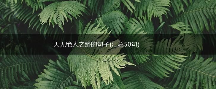 天无绝人之路的句子(汇总50句),第1张