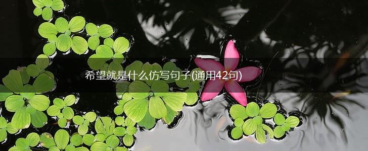 希望就是什么仿写句子(通用42句),第1张
