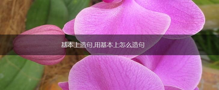 基本上造句,用基本上怎么造句,第1张