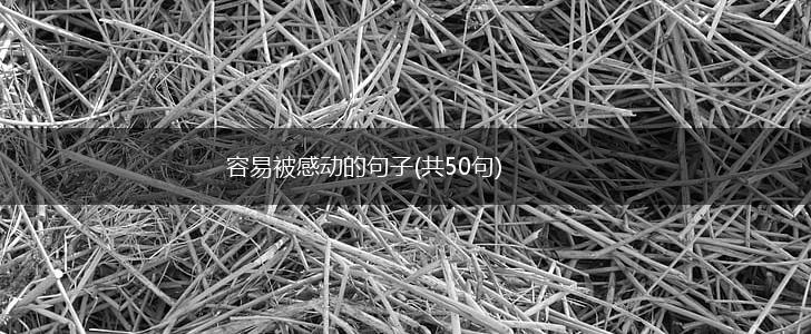 容易被感动的句子(共50句),第1张