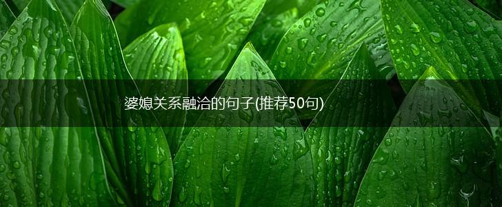 婆媳关系融洽的句子(推荐50句),第1张