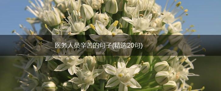 医务人员辛苦的句子(精选20句),第1张
