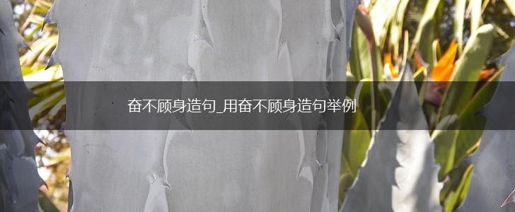 奋不顾身造句_用奋不顾身造句举例,第1张
