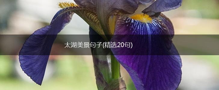 太湖美景句子(精选20句),第1张