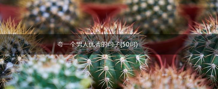 夸一个男人优秀的句子(50句),第1张