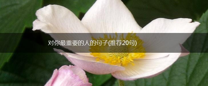 对你最重要的人的句子(推荐20句),第1张