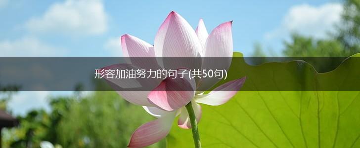 形容加油努力的句子(共50句),第1张