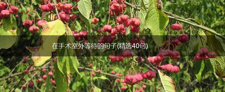 在手术室外等待的句子(精选40句),第1张