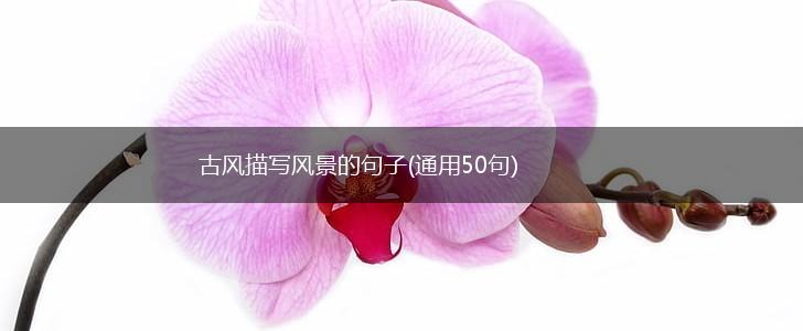 古风描写风景的句子(通用50句),第1张