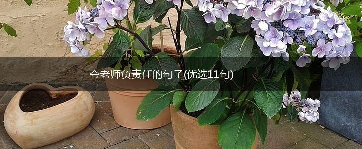 夸老师负责任的句子(优选11句),第1张