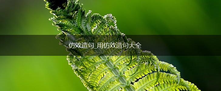 仿效造句_用仿效造句大全,第1张