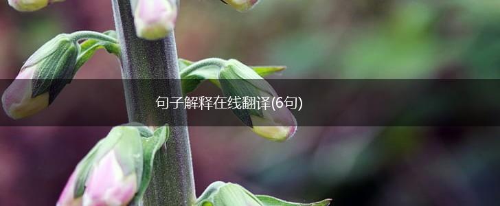 句子解释在线翻译(6句),第1张
