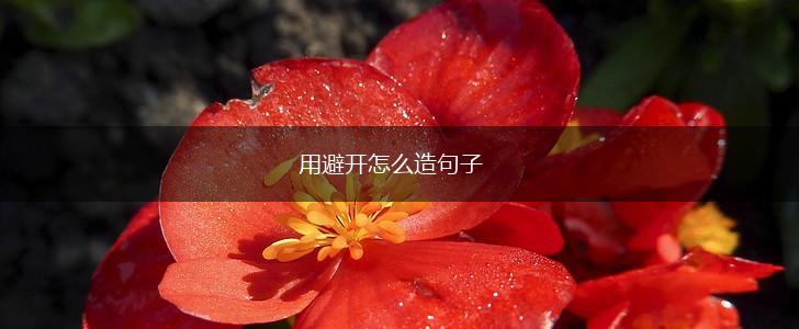 用避开怎么造句子,第1张